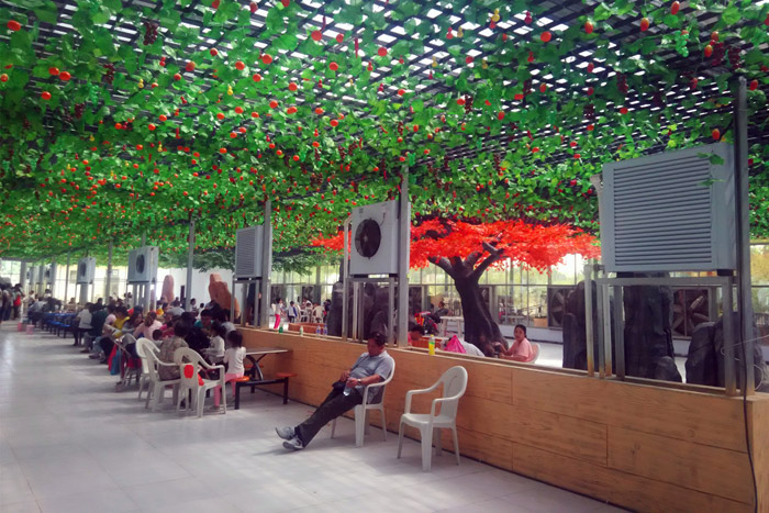 生態(tài)餐廳熱水暖風(fēng)機案例實拍